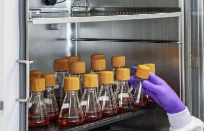 Expert team in downstream process development Expert team in downstream process development