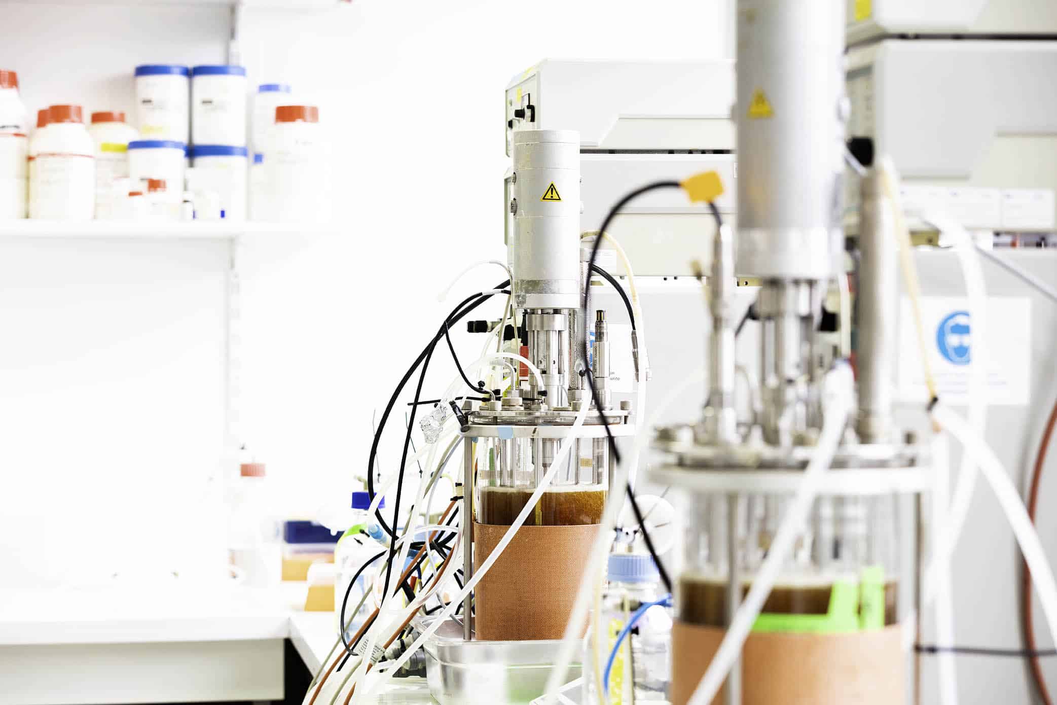 Expert team in downstream process development