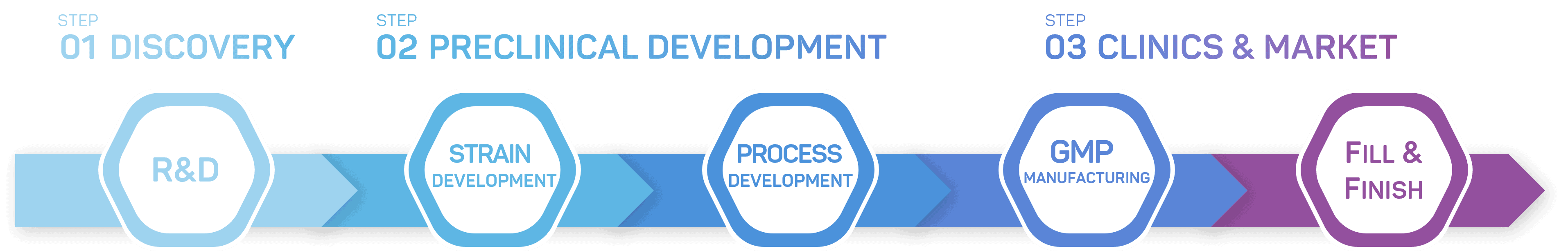 Expert team in downstream process development Expert team in downstream process development