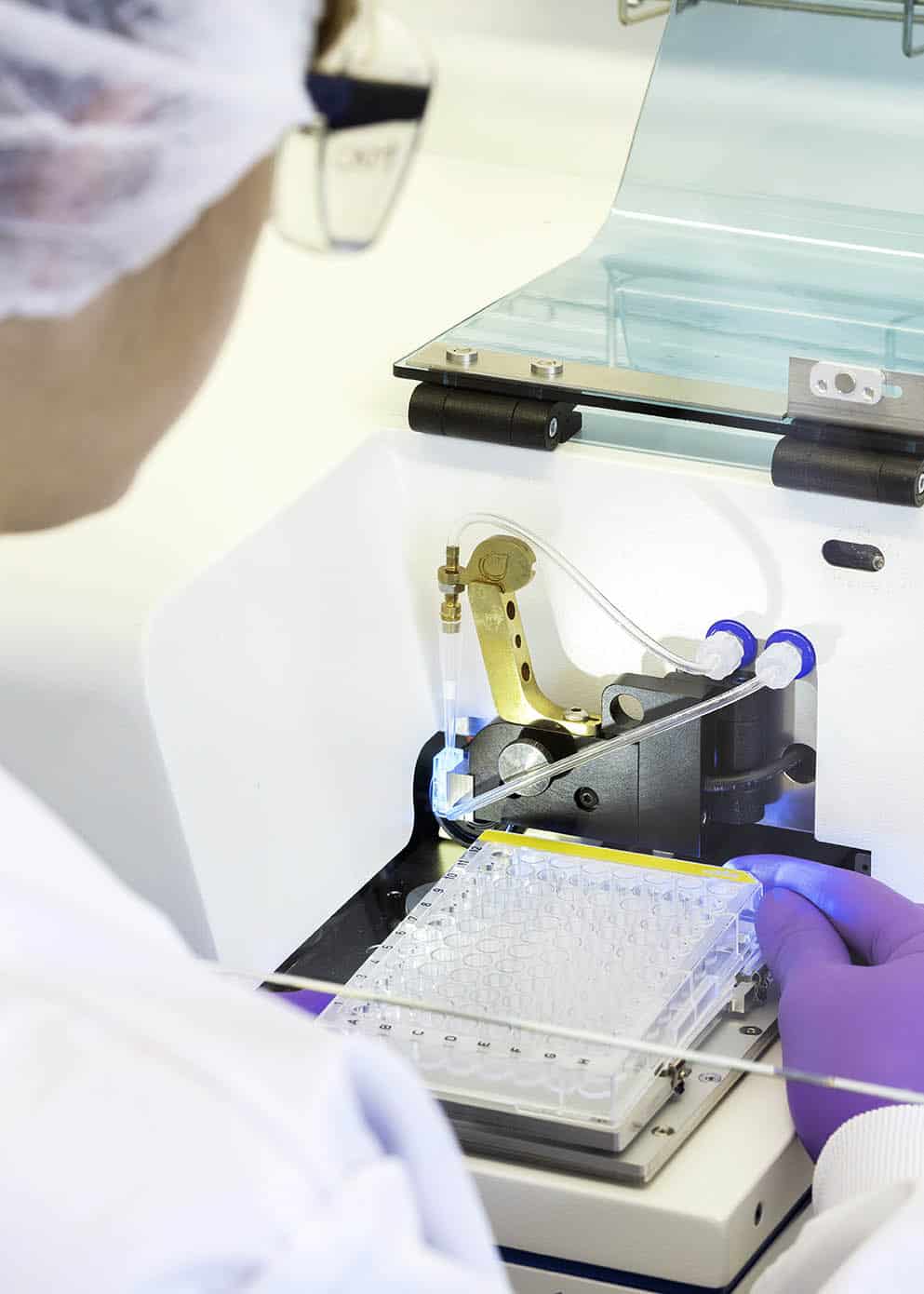 Expert team in downstream process development