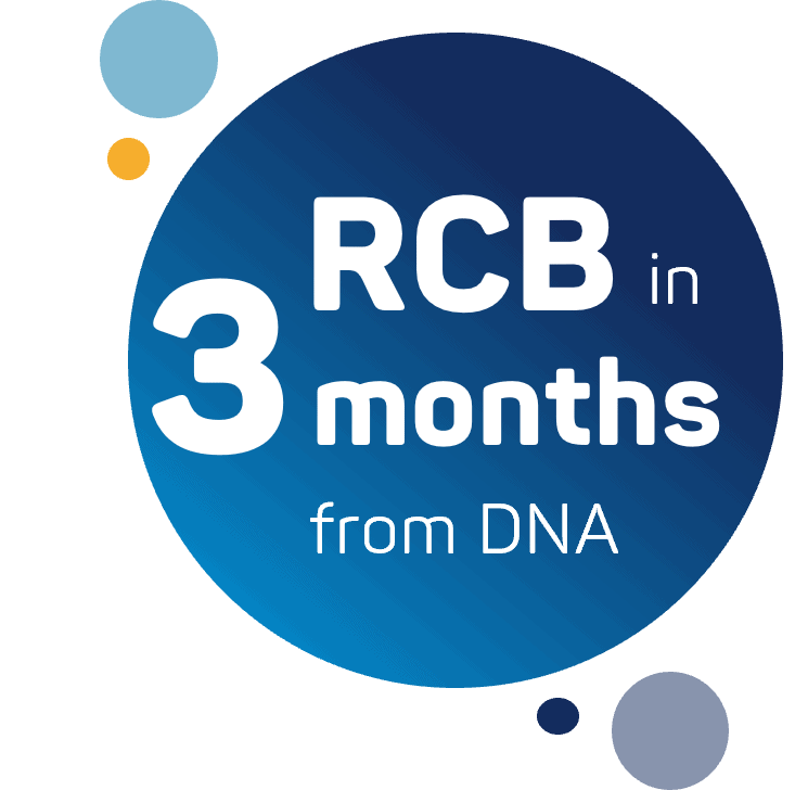 Expert team in downstream process development