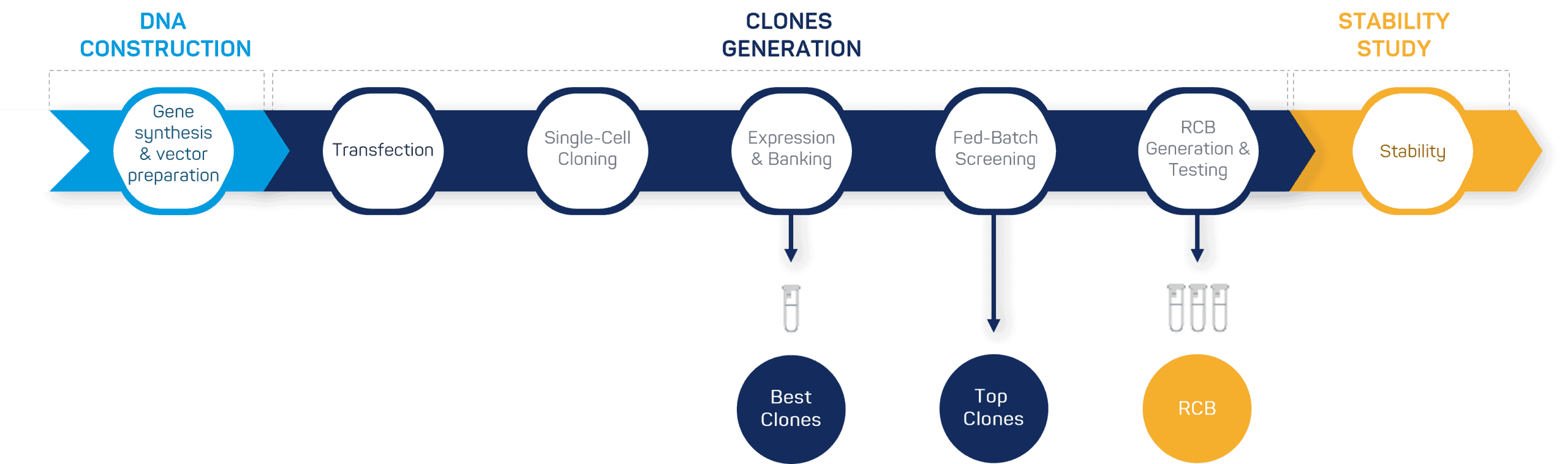 Expert team in downstream process development
