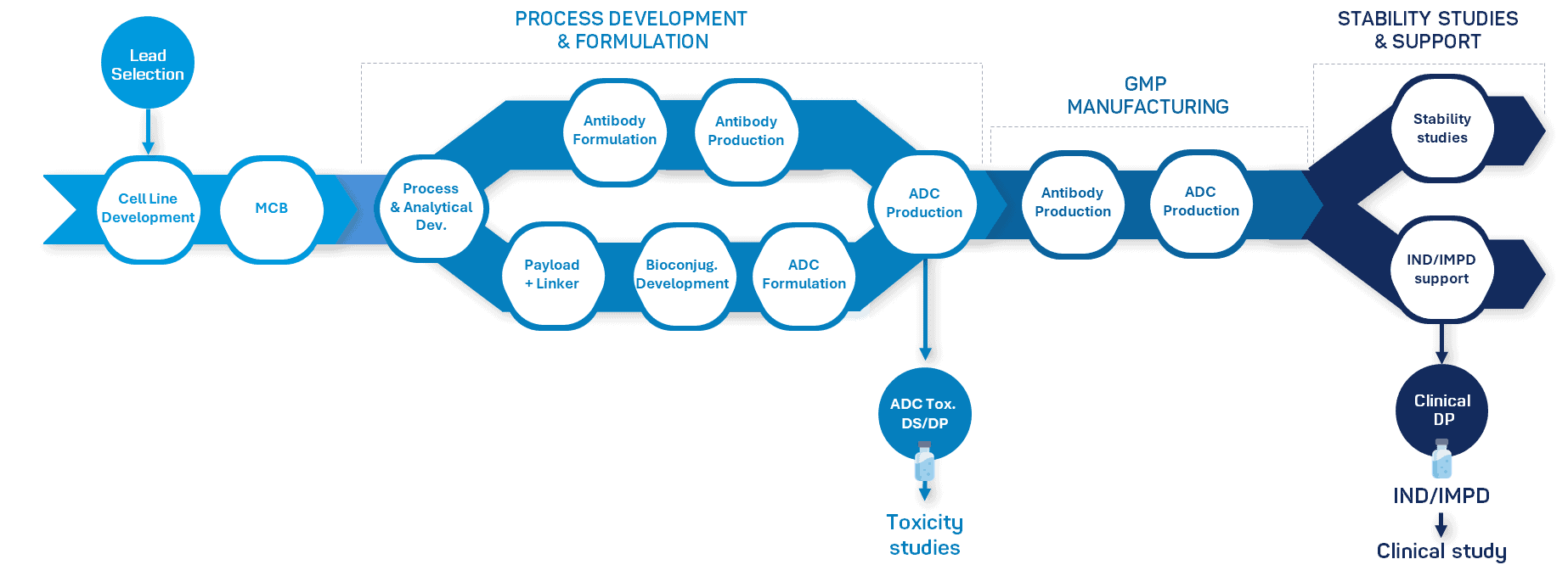 Flowchart ADC - Bioconjugation -  activities - Olon 