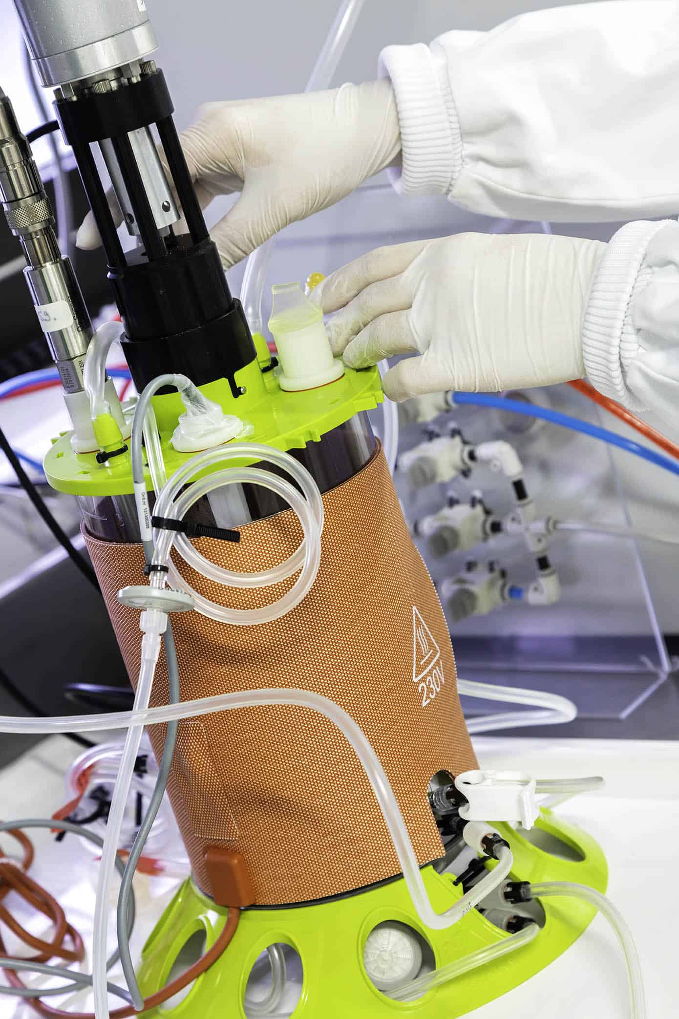 Expert team in downstream process development