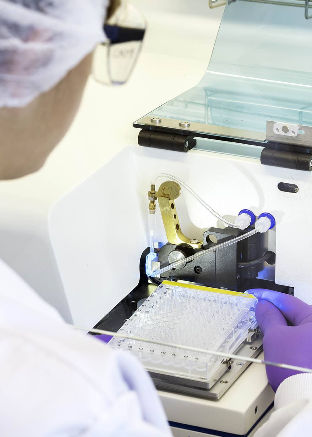 Expert team in downstream process development